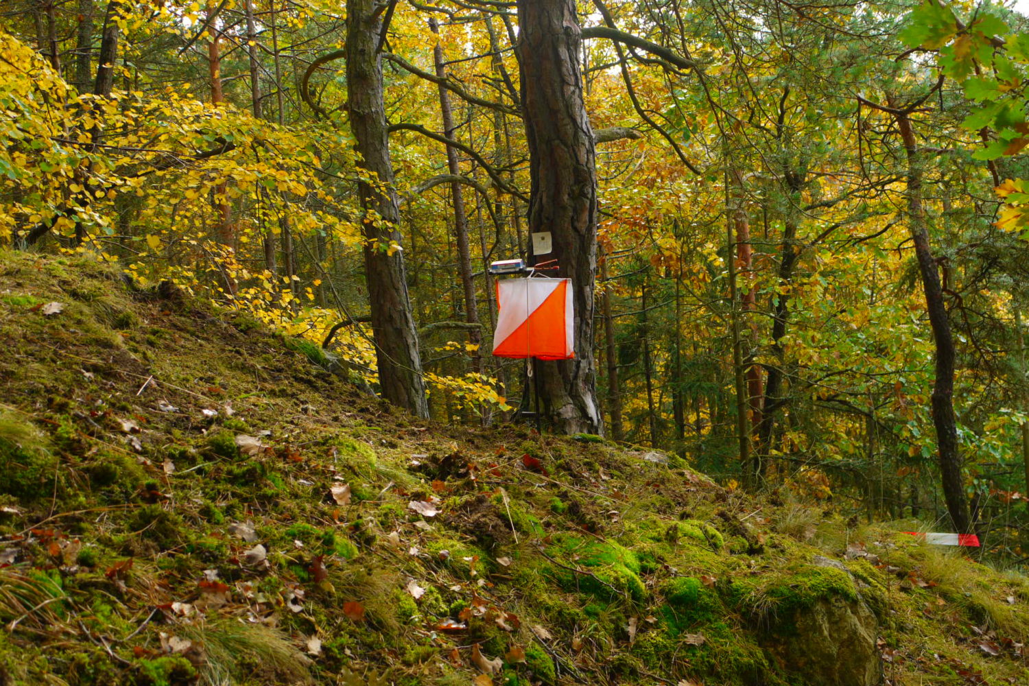 Orienteering Valdadige Verona