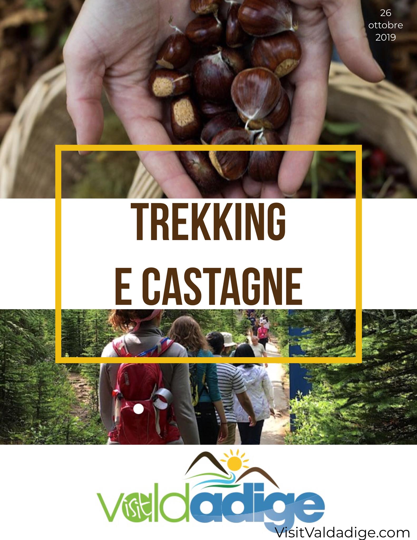 sabato 26 ottobre 2019
 TREKKING nei boschi, raccolta Castagne, e poi del buon V...