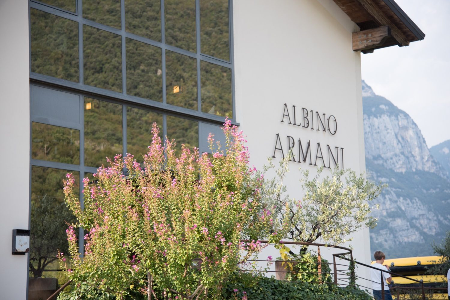 visitvaldadige tour sport cultura tra verona e adige visitvaldadigewine 90