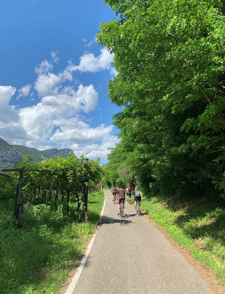 Tour Bike e Kayak Adige Val dAdige 15 1