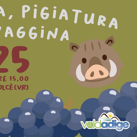 Vendemmia, pigiatura e selvaggina!