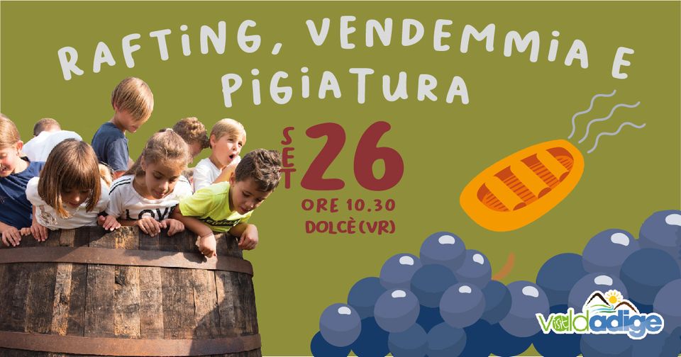 Rafting, vendemmia e pigiatura!