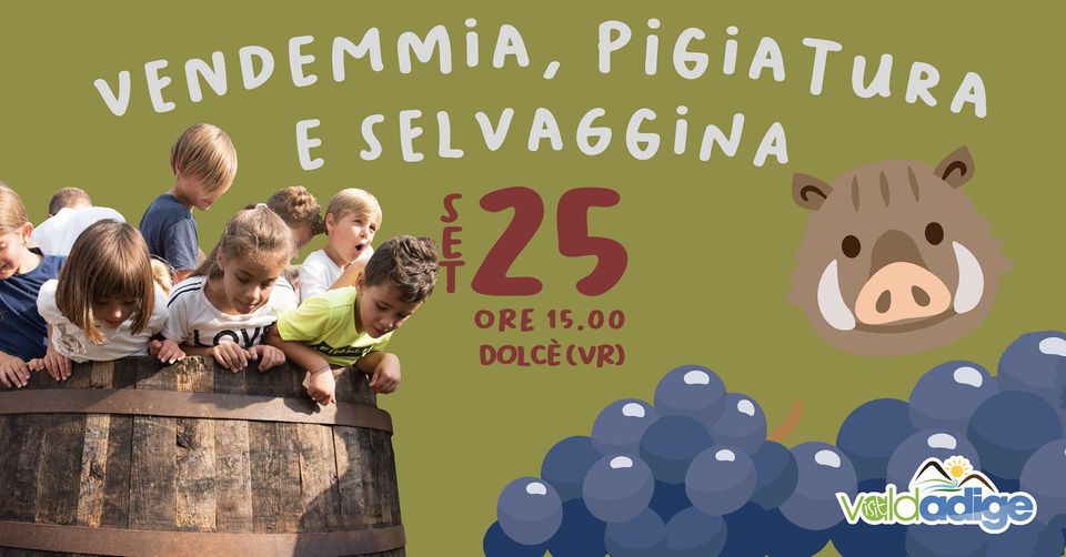 Vendemmia, pigiatura e selvaggina!