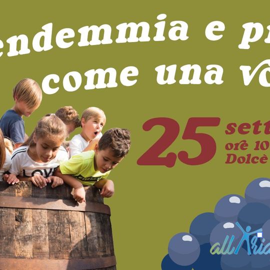 Vendemmia e Pigiatura come una volta!