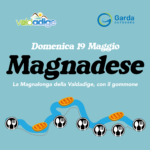 Magnadese24